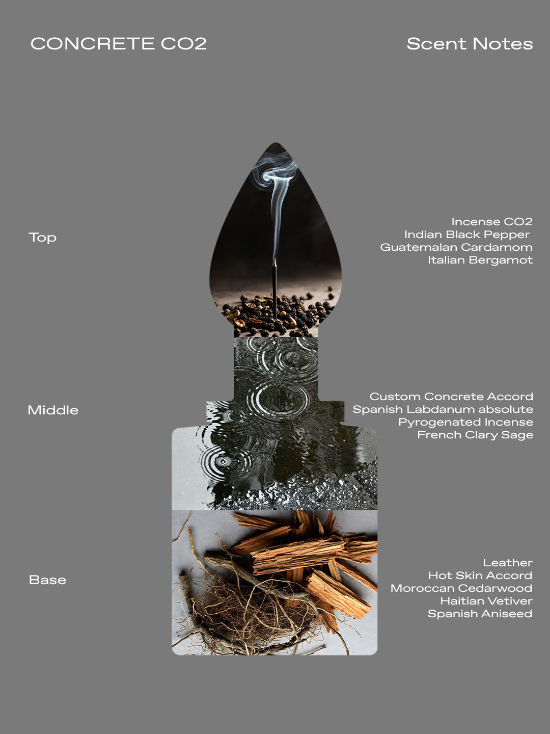 CONCRETE CO2 1,0ml Sample — view 7